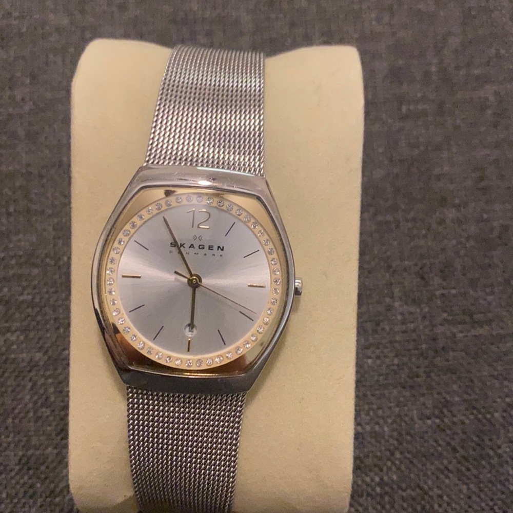 Skagen Watch with clasp